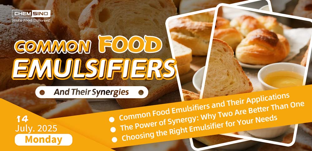 Common Food Emulsifiers and Their Synergies